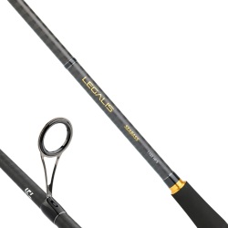 DAIWA LEGALIS SEABASS BF 2.74M, 14-42GR, 2P KAMIŞ - 2