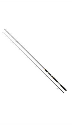 DAIWA NEW LEGALIS SEABASS 210CM 14-42GR SPİN KAMIŞ - 1