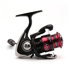 DAIWA NINJA 23 LT 2000 MAKARA - 3