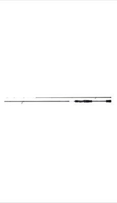 Shımano Bassterra XT+ Spin Sea Bass 2,44m 5-28g - 1